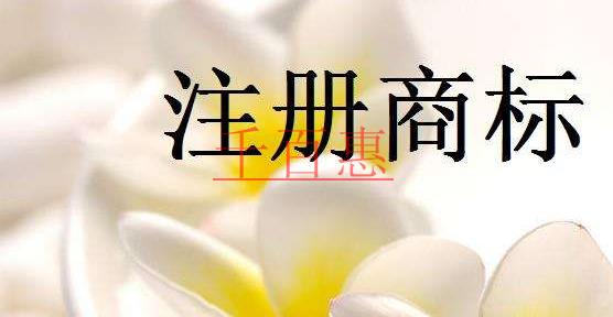 千百惠小编讲讲：商标注册不了怎么办