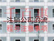 注销公司的流程与注意事项