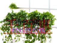 注销公司流程材料的价格