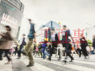 SP许可证都可以做什么业务？