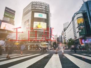 契税、土地增值税计税依据该不该包含增值税？