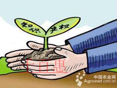 2019年中央一号文件：加强农业领域知识产权创造与