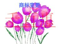 商标变更的保护措施和申请方式的解说?