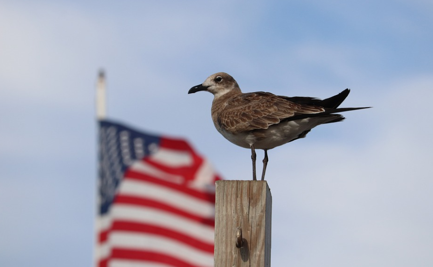 美国公司关门了怎么关门？