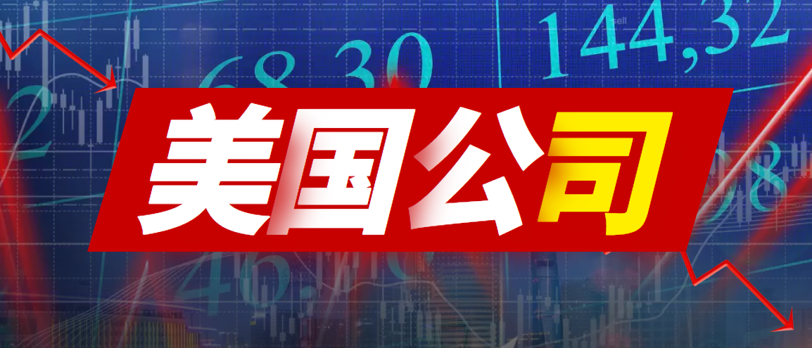 如何选择美国公司注册的类型？有什么要求？