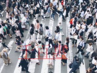 公司不经营了是否可以简易注销？办理条件有哪些？