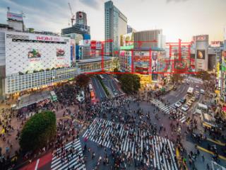 法人零申报个税、公司不做税务申报有什么影响？
