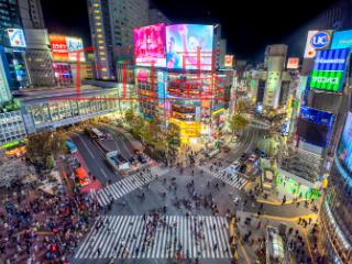 驰名商标的保护、与普通商标的区别 驰名商标的保护、与普通商标的区别