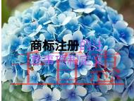 商标注册需要注意的一些事项?定义是什么? 商标注册需要注意的一些事项?定义是什么?